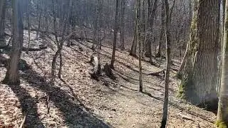 Great Smoky Mountains National Park MST Trail