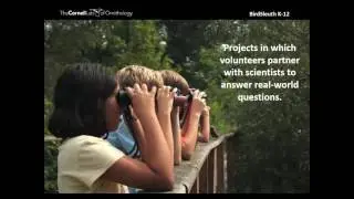 Great Backyard Bird Count for Educators