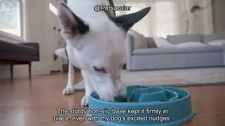 Outward Hound Fun Feeder Slo Bowl Review: Is It the Perfect Solution for Fast Eaters?