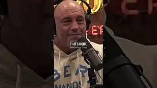 Joe Rogan and David Goggins on Relief