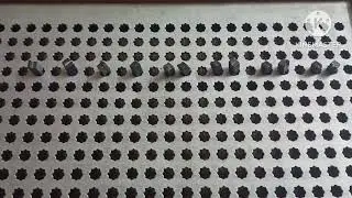 Number system part - 2 || Normal vs Braille|| Maths board || Support blind.