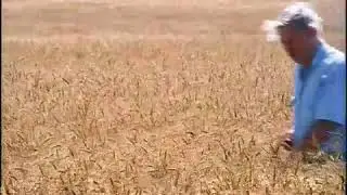Cereal killers, The Social Struggle, The Private Life of Plants   BBC Two