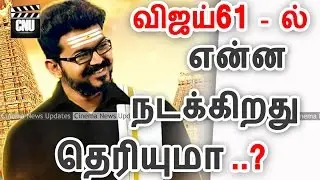 Vijay61 What Happening | Vijay61 Latest News | Cinema News Updates