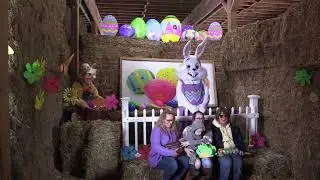 Egg-Citing Egg Hunt