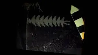 CENTIPEDES AND SPIRALS FOUND ON PETROGLYPHS AND MIMBRES POTTERY AND ICON REDUCTION EXAMPLES