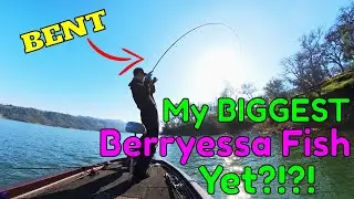 My BIGGEST Berryessa bass to date!?!? | Post-Frontal Bass Fishing | Lake Berryessa