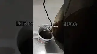 #shortvideo #guavaleaves