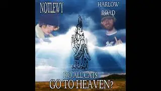 NotLewy, Harlow Road - do all cats go to heaven?