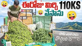 మిర్చి 25₹ kg లెక్క 110kgs వేసాను నాకు ఎంత లాభం 😜🌶️🔥15***/–//#bowenpally #vegetables #vantimamidi 
