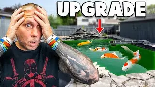 26,000 Gallon Koi Pond Needs Total Makeover!