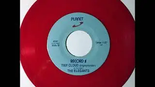 Elegants - Tiny Cloud  Original Version ~ teen doo wop teenage