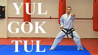 Yul-gok Tul - Performed by Sabonim Mariano Molina