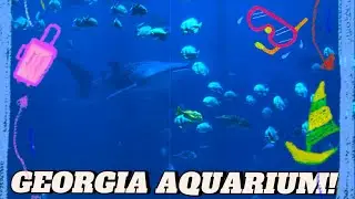 GEORGIA AQUARIUM VLOG | ALL SEA AND LAND ANIMALS! 