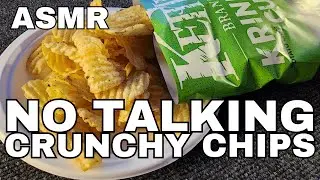 ASMR Crunching Chips & Mobile Gaming | No Talking