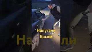 Напугали басухой #автозвук #сабвуфер #dlaudio