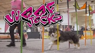 Behind the scenes at the amazing new Woofjocks Show #sponsored