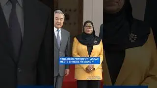 Tanzanian president Hassan meets Chinese FM Wang Yi