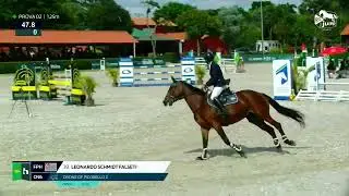Drone of Picobello Z 6yo | 1&ordm; Dia - CSN5* Summer Tour (ShPR)