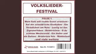 Ein Str&auml;u&szlig;chen am Hute