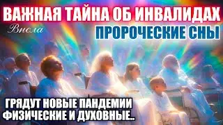 ПРОРОЧЕСКИЕ СНЫ. ГРЯДУТ ПАНДЕМИИ- ФИЗИЧЕСКИЕ И ДУХОВНЫЕ… ВАЖНАЯ ТАЙНА ОБ ИНВАЛИДАХ