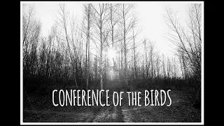 Adrian Maruszczyk - Conference of the Birds