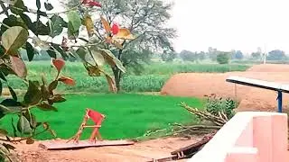 village life Pakistan | village life | village life in Punjab | @Rmi45