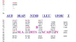 AUDITOR APPOINTMENT LETTER FORMAT