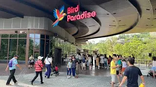 Majestic Eagles taking Flight in the Mighty &ldquo;Predators on Wings&rdquo; show in &lsquo;Birds own Paradise&rsquo;.