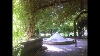 Bunker vibes & Wisteria enigma 20 9 2025