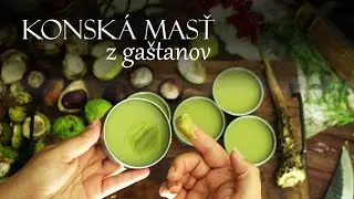 Konská masť z gaštanov / Pagaštan konský