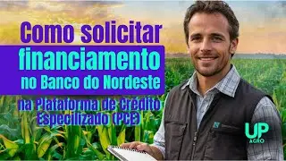 Como solicitar financiamento no Banco do Nordeste na PCE