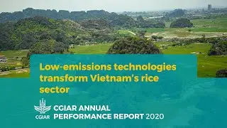 Low-emission technologies transform Vietnam&rsquo;s rice sector
