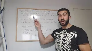 Recurso de Inconstitucionalidad vs. Cuestión de Inconstitucionalidad vs. Recurso de Amparo