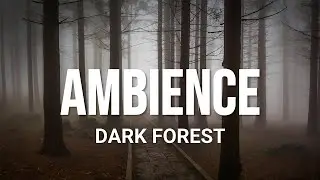 Deep Dark Forest Ambience | Fog, Distant Tension & Low Drones