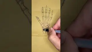 #nurse #nursingdegree #nursing #nursingschool #shorts #hand #bones #sketch #anatomy #skeleton #art