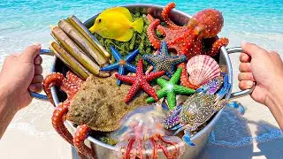 Ловля камбалы 🐟, кальмара 🦑, осьминога 🐙, белой медузы 🤍🪼, морских крабов 🦀, морских гребешков 🐚,...