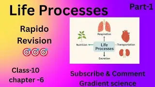 Life processes/ Rapido Revision/class 10th science/ chapter 6 /Part 1/ NCERT/ Gun shot/