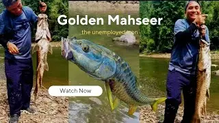 Monster fish #golden mahseer  in Hibum river  #best catch #record breaking #angling expert 🐟🐠🐟