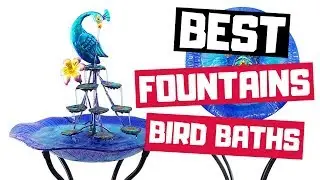 Best Bird Baths and Fountains in 2019