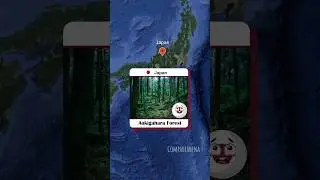 Never Visit These Place From Different Countries #youtubeshorts #shorts