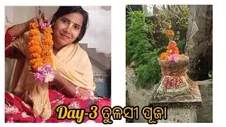 ||🙏ଆଜି ଗୋଟେ Special ଦିନ ତୁଳସୀ ପୂଜା ଆସନ୍ତୁ ତୁଳସୀ ପୂଜା କରିବା❤️||odiajhialaxmipriyavlog