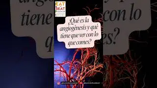 Tu cuerpo crea vasos sangu&iacute;neos cada d&iacute;a. &iquest;Sabes c&oacute;mo influye tu dieta?