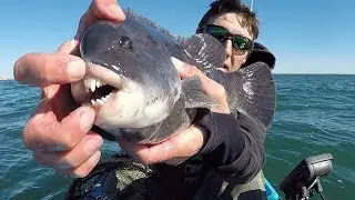 A Smile only Fisherman can Love. Rhode Island Fall Tautog Fishing.