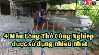Giới thiệu 4 mẫu lồng Nuôi Thỏ bằng lưới Công nghiệp được ưa chuộng nhất hiện nay