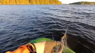 VERKOILLA 93 | KALASTAJA KADOKSISSA PYH&Auml;J&Auml;RVELL&Auml; | VEHKEET L&Ouml;YTY 💥 KALASTAJAA EI !!!