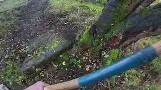 ReBuilding An Old Bike Track (Part 1) [ACCIDENT!]