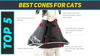 Top 5 Best Cones For Cats in 2023