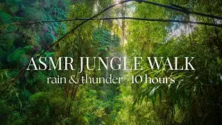 Relaxing Lush Jungle Forest Thunderstorm, Walking in the Rain ASMR, Nature Sounds For Sleep