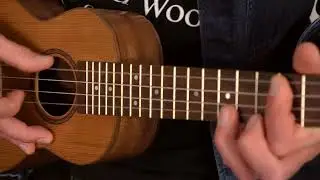 Cedar Pro Series - by Twisted Wood Guitars
