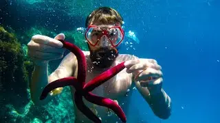 SNORKELING PARADISE - Gozo, Malta 4K
